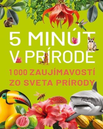 5 minút v prírode