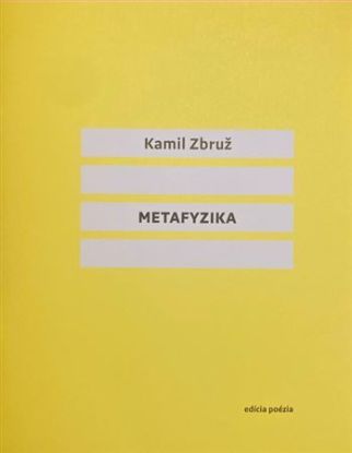 Metafyzika