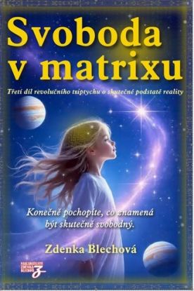 Svoboda v matrixu