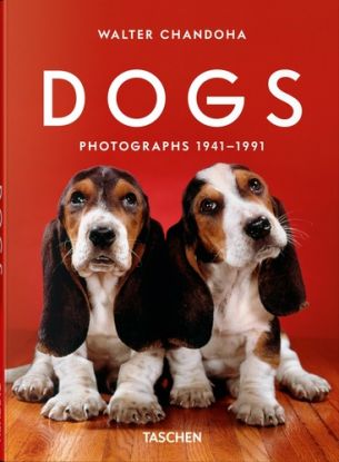 Walter Chandoha. Dogs. Photographs 1941–1991