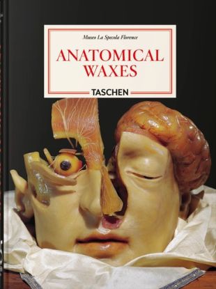 Anatomical Waxes. 45th Ed.