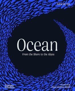 Ocean