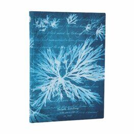 Paperblanks Sea Flowers Midi Lined