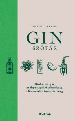 Ginszótár