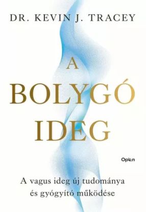 A bolygóideg