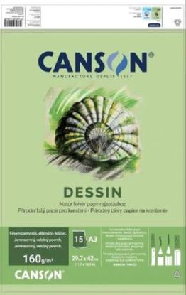 CANSON blok na kreslenie A3 160g 15 listov