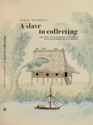 A slave to collecting