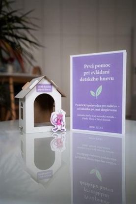 Pánko Hnev a Tichý domček