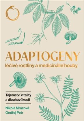 Adaptogeny - Léčivé rostliny a medicinální houby