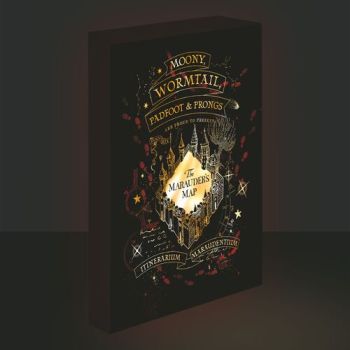 Svietiaci obraz 30x40 Harry Potter - Patronus