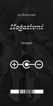 Negativní román