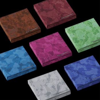 Enhypen - The Sin: Vanish (Fugitives Version) CD