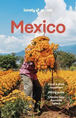 Lonely Planet Mexico, 19th edition