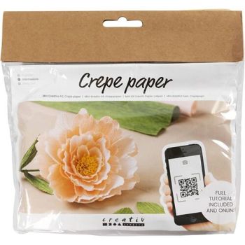 Mini kreatívna sada Craft Kit Crepe Papier – pivónia
