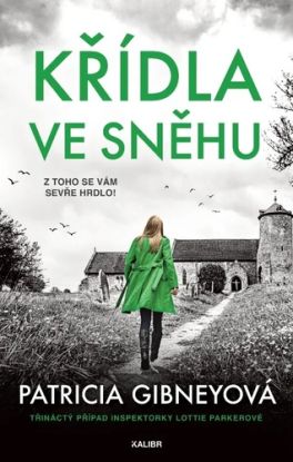 Křídla ve sněhu