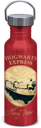 Hliníková fľaša skrutkovacia Harry Potter - Golden Magic, 815 ml