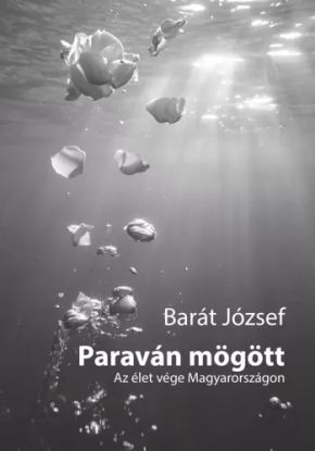 Paraván mögött
