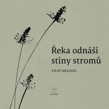 Řeka odnáší stíny stromů