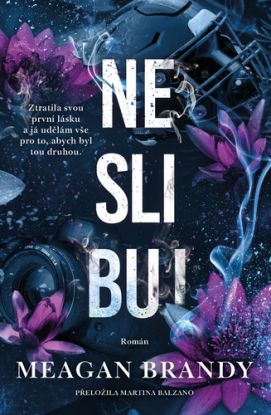 Chlapci z Avixu 2: Neslibuj