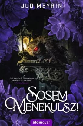 Sosem menekülsz!
