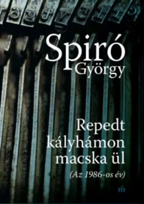 Repedt kályhámon macska ül