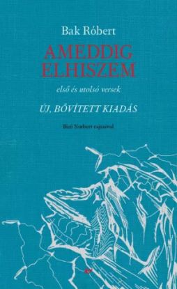 Ameddig elhiszem