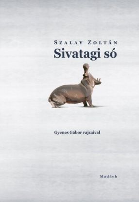 Sivatagi só
