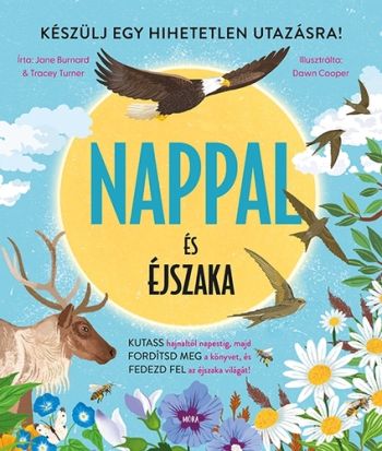Nappal és éjszaka