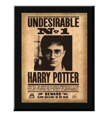 Harry Potter - Plagát v ráme - Wanted