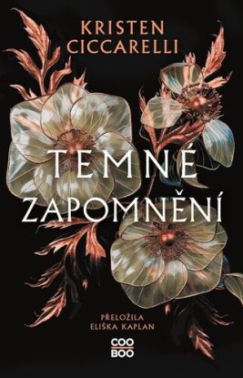 Temné zapomnění