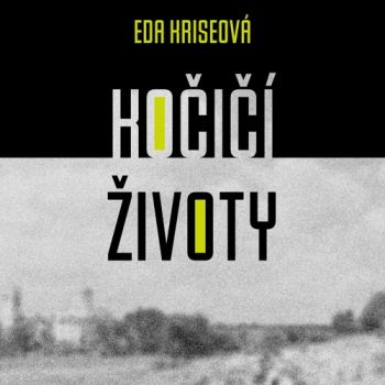 Kočičí životy