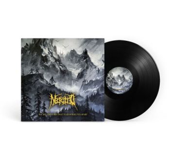 Necrotted - We Are The Gods That Tear Ourselves Apart LP