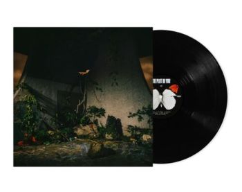 Plot in You, The - The Plot In You LP