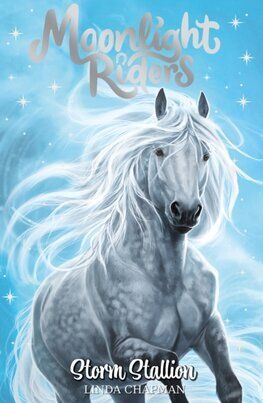 Moonlight Riders 2: Storm Stallion