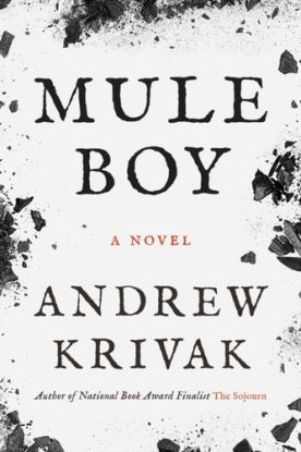 Mule Boy