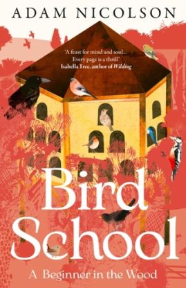Bird School