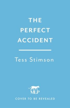 The Perfect Accident