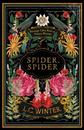 Spider, Spider