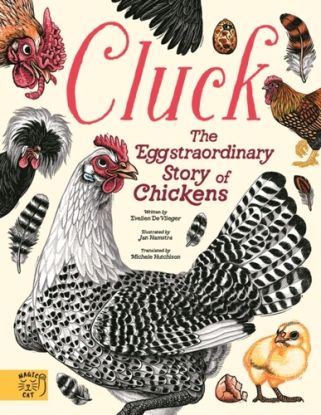 Cluck!