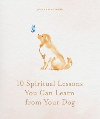 10 Spiritual Lessons You Can Learn from Your Dog
