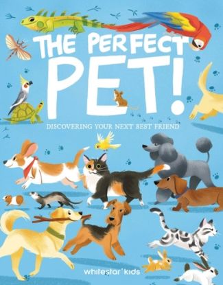 The Perfect Pet!