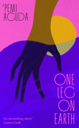 One Leg on Earth