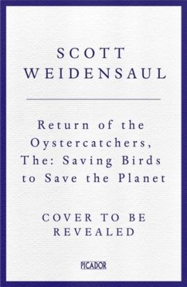 The Return of the Oystercatcher
