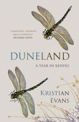 Duneland