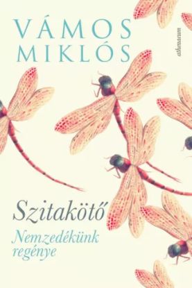 Szitakötő