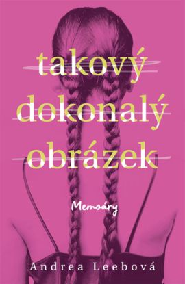 Takový dokonalý obrázek