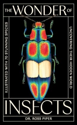 The Wonder of Insects: Uncovering their Hidden World
