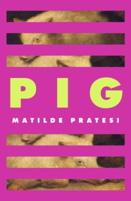 Pig