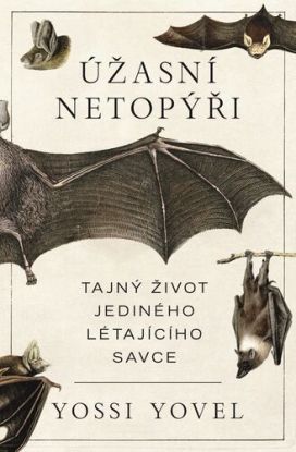 Úžasní netopýři