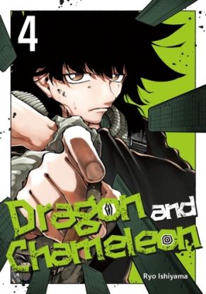 Dragon and Chameleon 04
